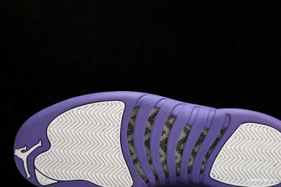 Purple Retro Jordan 12 CT8013-150 CT8013-150 0108